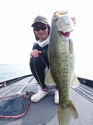 truth news ブログ写真 2012/08/10