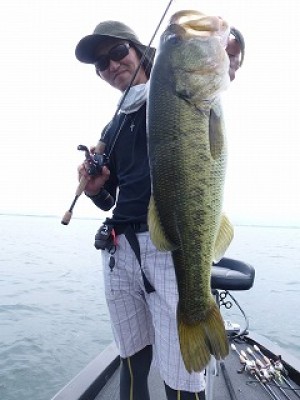 truth news ブログ写真 2012/08/10