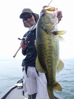 truth news ブログ写真 2012/08/10