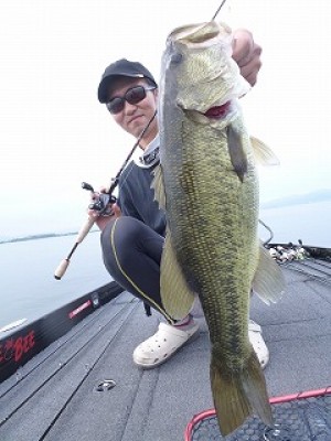 truth news ブログ写真 2012/08/10