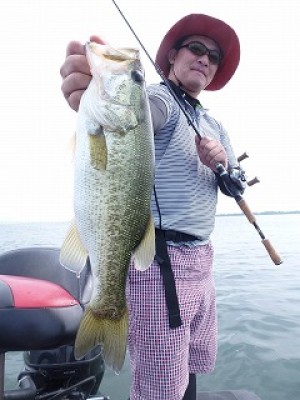 truth news ブログ写真 2012/08/10