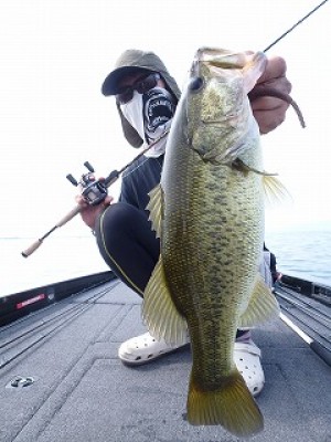 truth news ブログ写真 2012/08/10