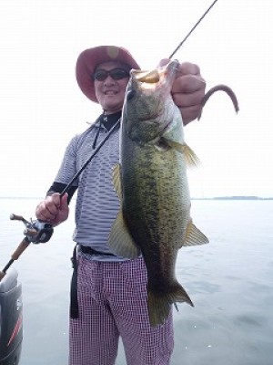 truth news ブログ写真 2012/08/10