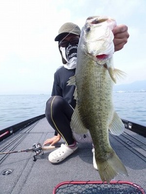 truth news ブログ写真 2012/08/10