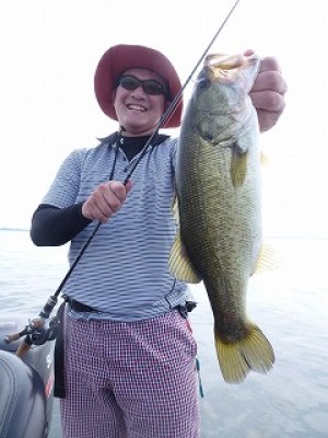 truth news ブログ写真 2012/08/10