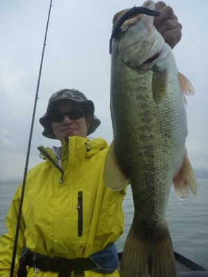 truth news ブログ写真 2012/08/11