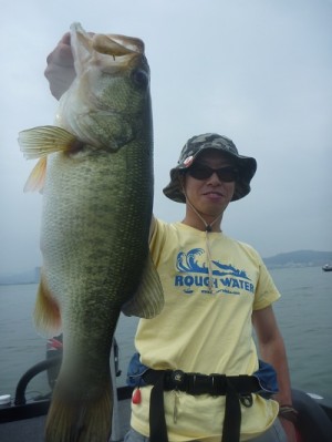 truth news ブログ写真 2012/08/11