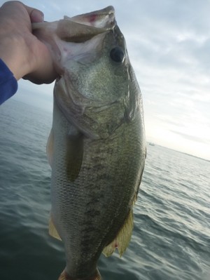 truth news ブログ写真 2012/08/12