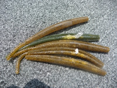 truth news ブログ写真 2012/08/12