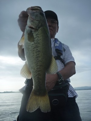 truth news ブログ写真 2012/08/12