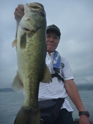 truth news ブログ写真 2012/08/12