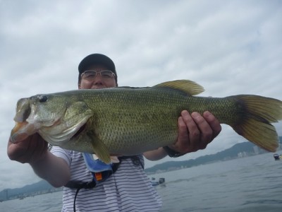 truth news ブログ写真 2012/08/12