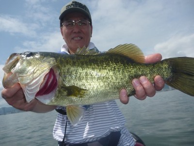 truth news ブログ写真 2012/08/12