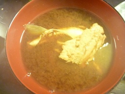 truth news ブログ写真 2012/08/12