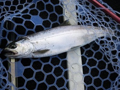 truth news ブログ写真 2012/08/14