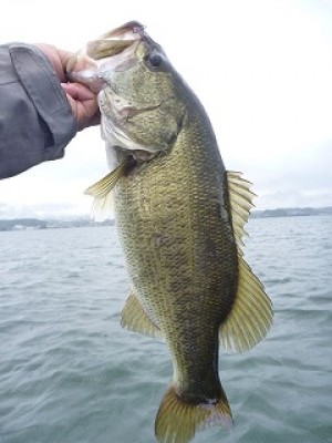 truth news ブログ写真 2012/08/15