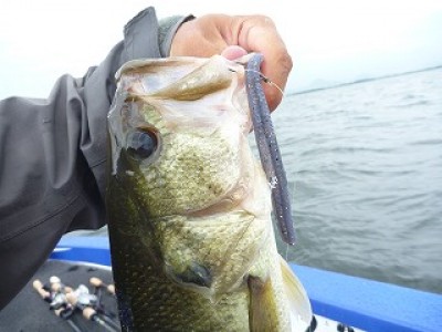 truth news ブログ写真 2012/08/15