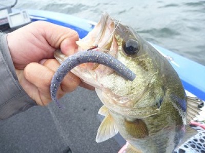 truth news ブログ写真 2012/08/15