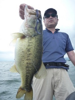 truth news ブログ写真 2012/08/15