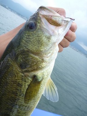 truth news ブログ写真 2012/08/15