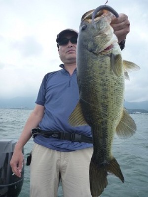 truth news ブログ写真 2012/08/15