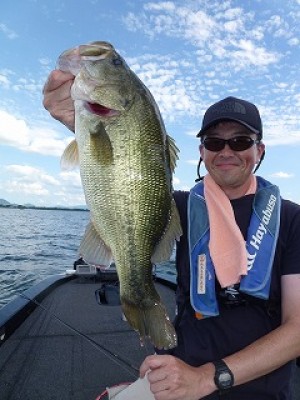 truth news ブログ写真 2012/08/17