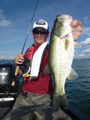 truth news ブログ写真 2012/08/17