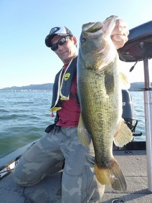 truth news ブログ写真 2012/08/17