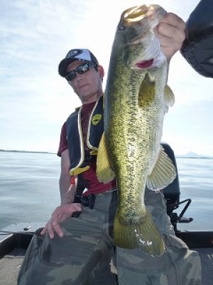 truth news ブログ写真 2012/08/17