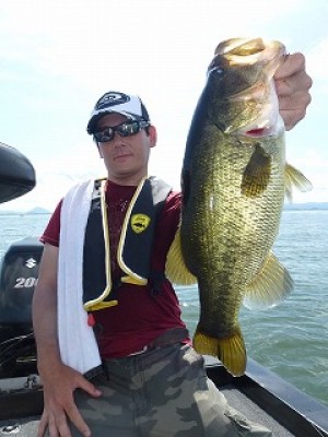 truth news ブログ写真 2012/08/17