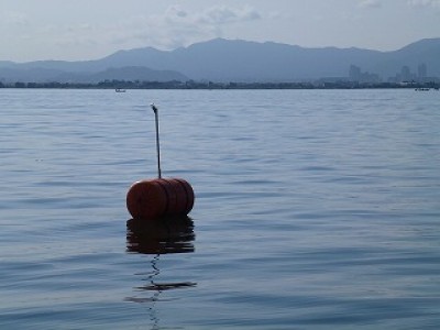 truth news ブログ写真 2012/08/18