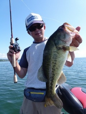 truth news ブログ写真 2012/08/18