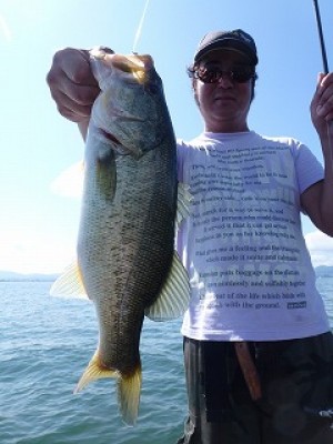 truth news ブログ写真 2012/08/18