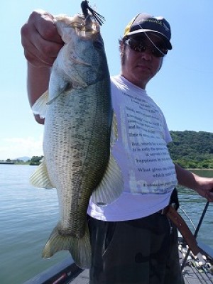 truth news ブログ写真 2012/08/18