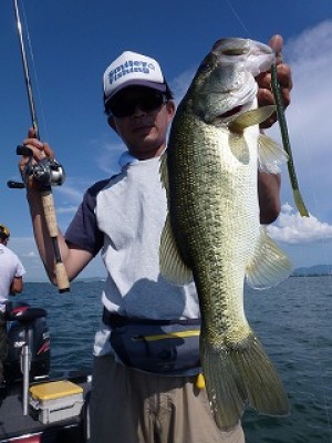 truth news ブログ写真 2012/08/18