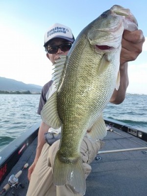 truth news ブログ写真 2012/08/18