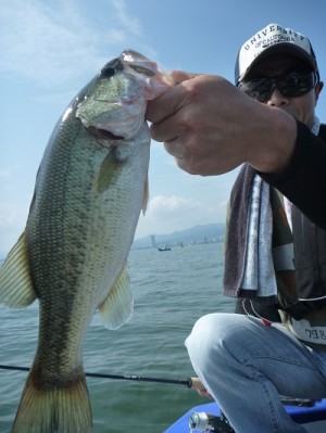 truth news ブログ写真 2012/08/18