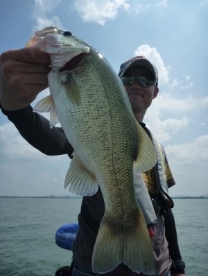 truth news ブログ写真 2012/08/18