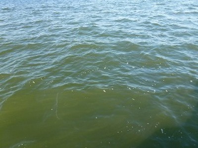 truth news ブログ写真 2012/08/20