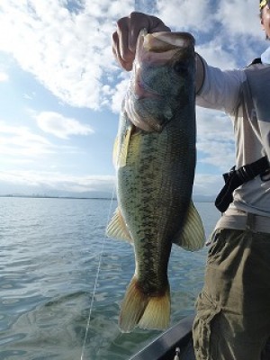 truth news ブログ写真 2012/08/20