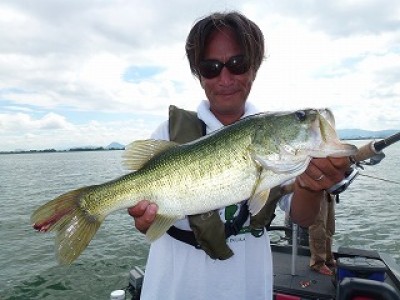 truth news ブログ写真 2012/08/21