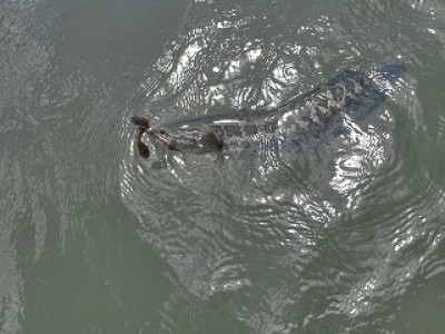 truth news ブログ写真 2012/08/23