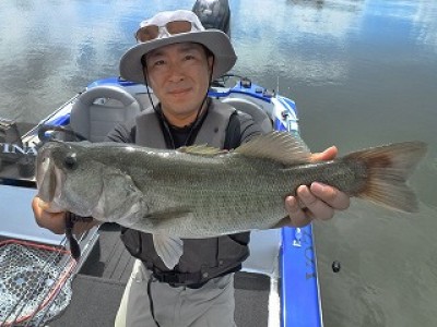 truth news ブログ写真 2012/08/23