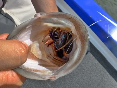 truth news ブログ写真 2012/08/23