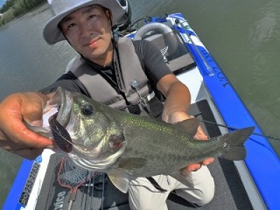 truth news ブログ写真 2012/08/23