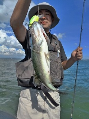 truth news ブログ写真 2012/08/23