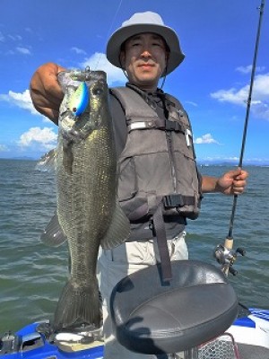 truth news ブログ写真 2012/08/23