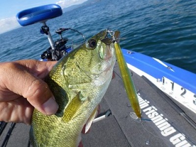 truth news ブログ写真 2012/08/23