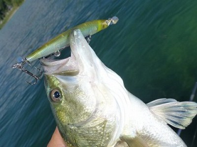 truth news ブログ写真 2012/08/23