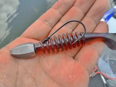 truth news ブログ写真 2012/08/23